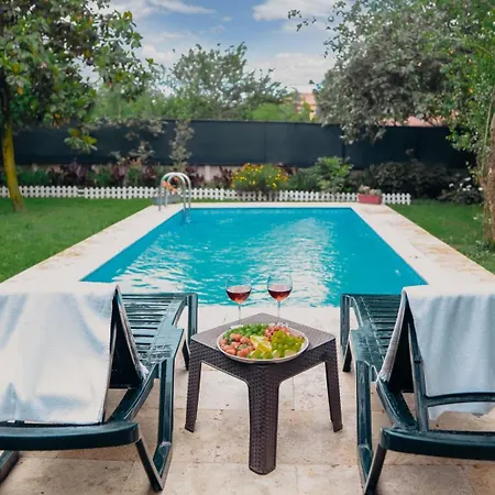 Denizci Villa Sapanca