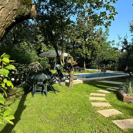 Denizci *
