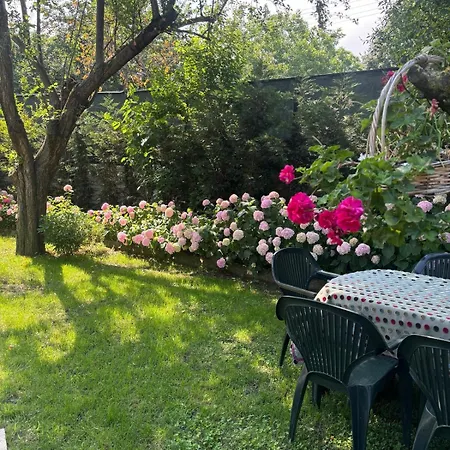 Villa Denizci *